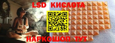 гидропоника Дубна