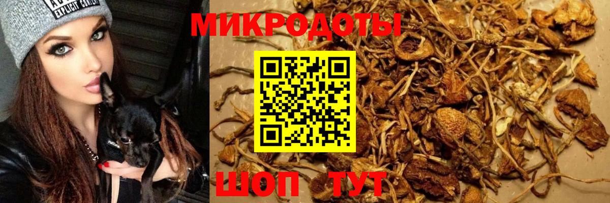Галлюциногенные грибы MAGIC MUSHROOMS Мирный